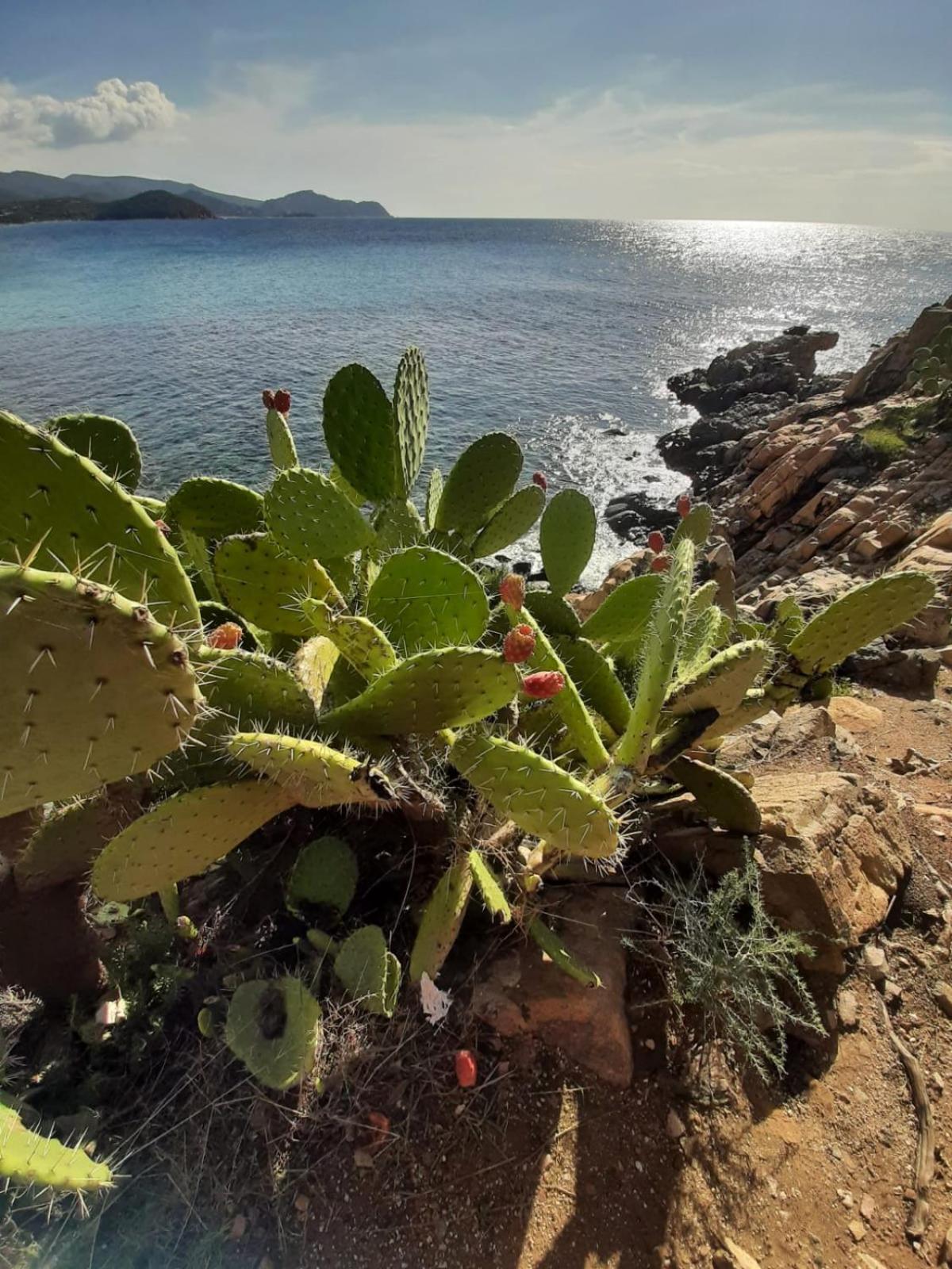 Resonance Experience - Tranquil Room Close To Beaches And Sacred Sites Sant Isidoro  Exteriér fotografie