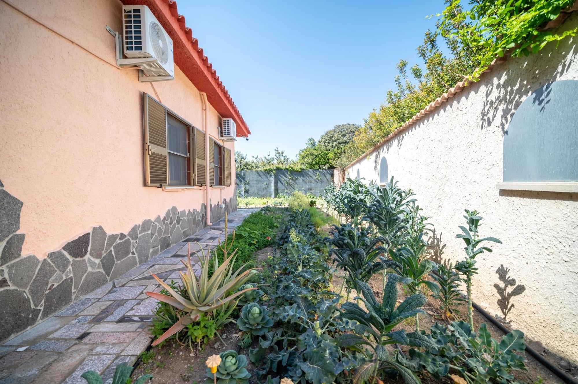 Resonance Experience - Tranquil Room Close To Beaches And Sacred Sites Sant Isidoro  Exteriér fotografie